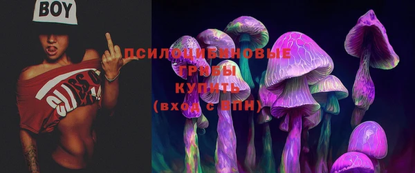 кокаин премиум Каменка