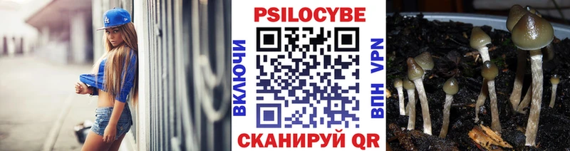 Купить где  Гай  Галлюциногенные грибы GOLDEN TEACHER 