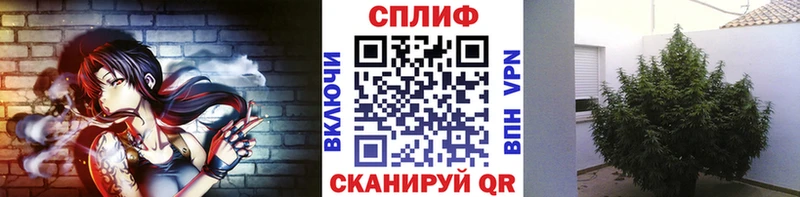 МАРИХУАНА план  Купить  Гай 
